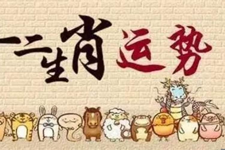 2025年适合怀孕的生肖女 2025年本命年好吗
