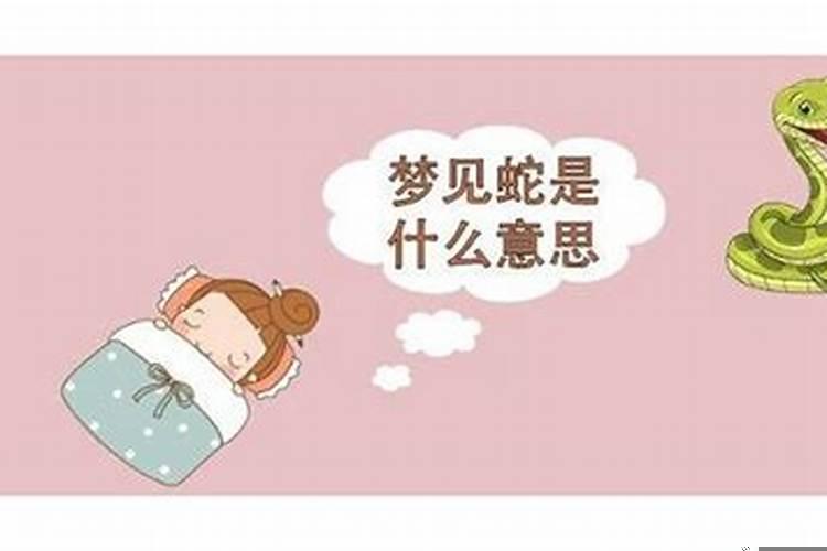 做了关于蛇的梦 梦见蛇还被蛇咬了是什么预兆