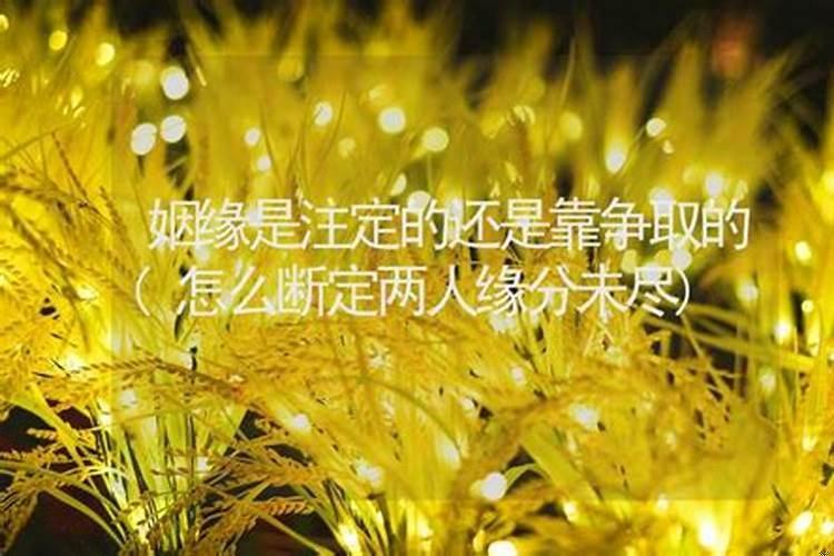 如何判断缘分尽了？八字怎么看缘分