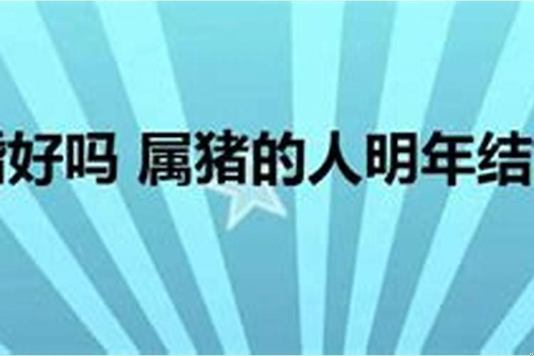 属猪今年会结婚吗？68年猴穿什么颜色的衣服