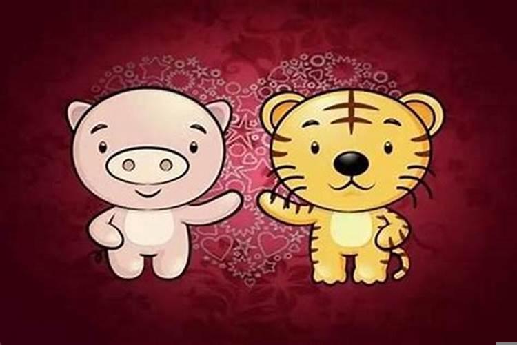 男属狗与女属虎（男虎女狗八字合吗）