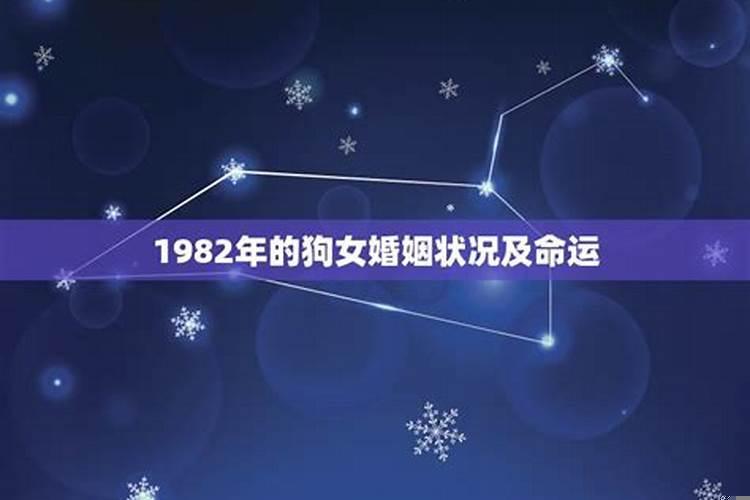 82年狗女婚姻与家庭，82年属狗女人