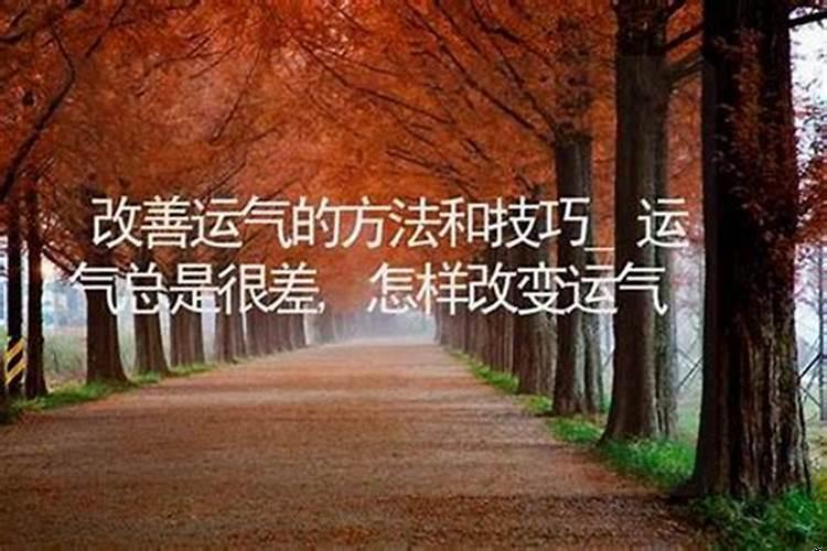 如何才能改变运气？怎么调整风水增加财运