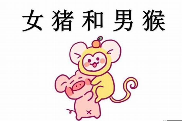 男猴女猪相配吗婚姻？属猴男和属猪女婚姻配吗
