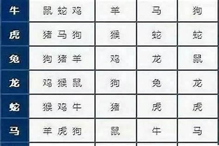 88年属龙配什么属相好？88年属龙和什么相配