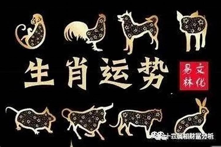 家里有这三个生肖大富大贵(属鼠在牛年的运气)