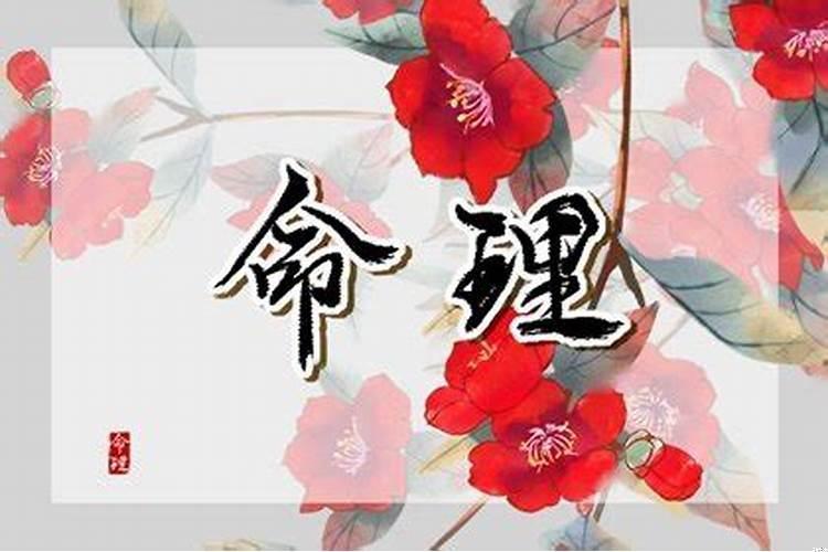 命最好的三大星座女（天秤女嫁给什么星座最幸福）