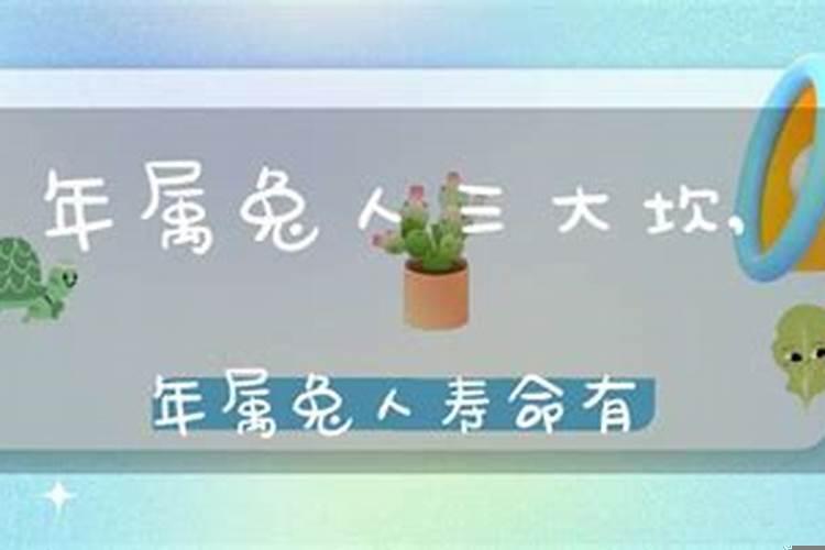 属兔人一生有几个坎？属兔的人无穷尽贵人运