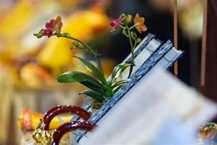 什么叫财布施、法布施？财布施，得财