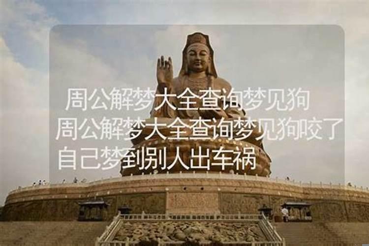 梦见狗叫醒自己，梦见狗周公解梦大全查询