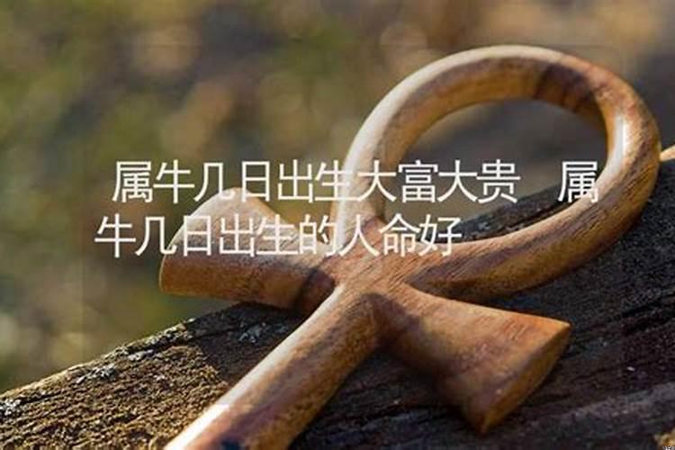出生大富大贵的日子（女命4两9钱是富贵命）