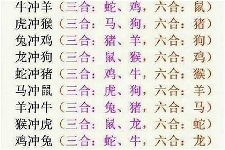 十二生肖相配属相最好，属牛的和属什么的相配最好