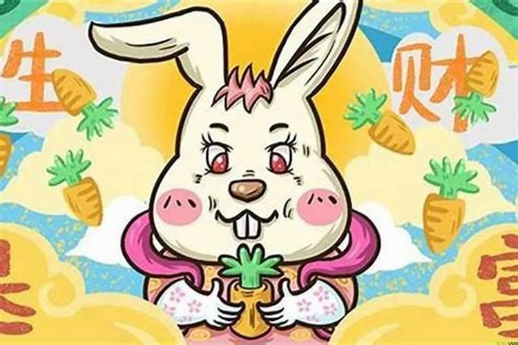 1999年属兔命好吗?属兔的运气不好