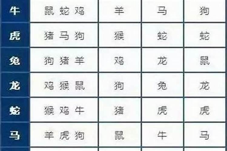 婚姻什么生肖相配最好？属鸡跟什么生肖相合
