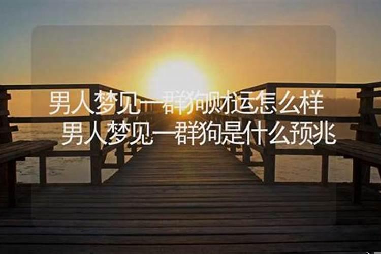 男人做梦梦见狗是什么意思？梦见狗是什么预兆男人