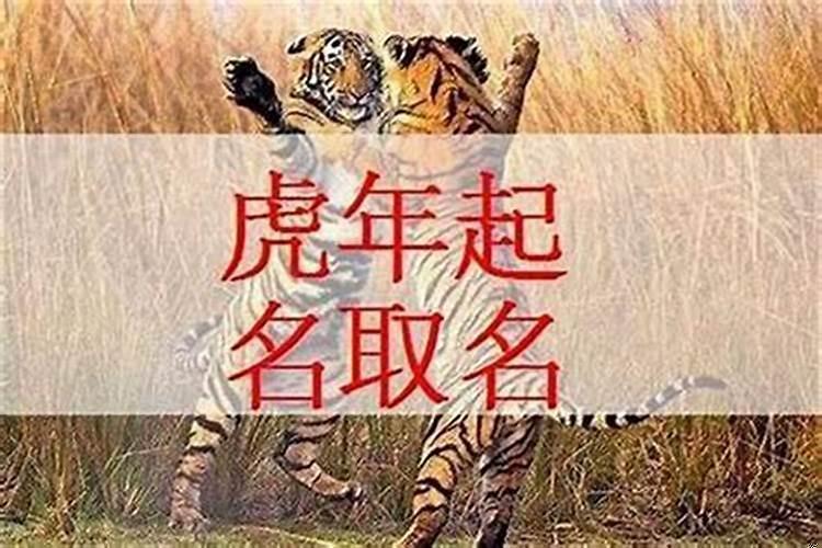 2025年出生的虎宝宝生在几月最好命运？2025年属虎几月生人命运最好呢