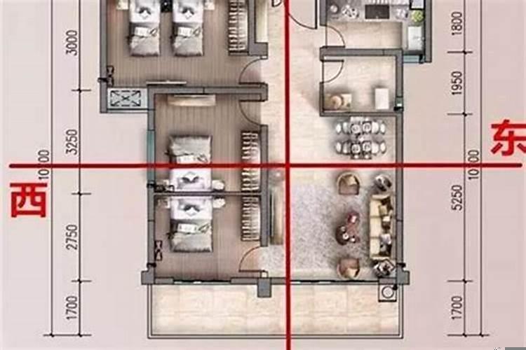 己巳日柱女命有大财吗？月柱丁巳的女命