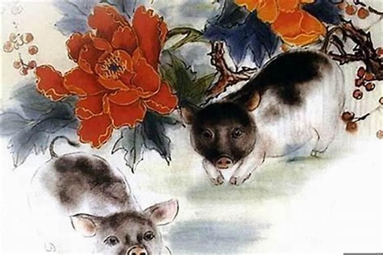 属猪的人楼层住几层比较好？属猪不宜住几楼最好呢