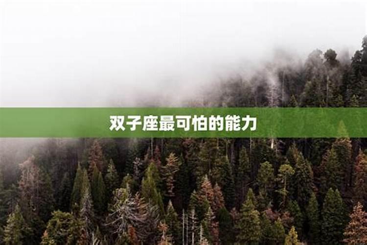成熟双子座最可怕的能力，双子座男生性格脾气怎么样