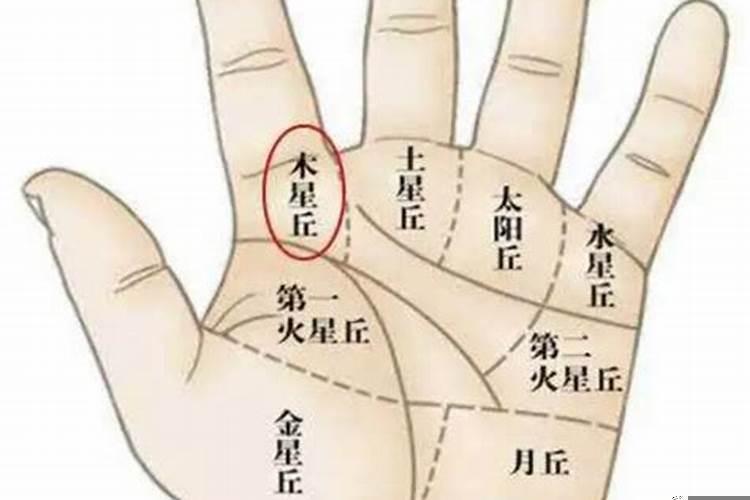 手相命理大师，手相怎么看贵人运气好坏