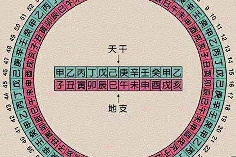 怎么排八字分析八字？己卯日戊辰时生学业如何