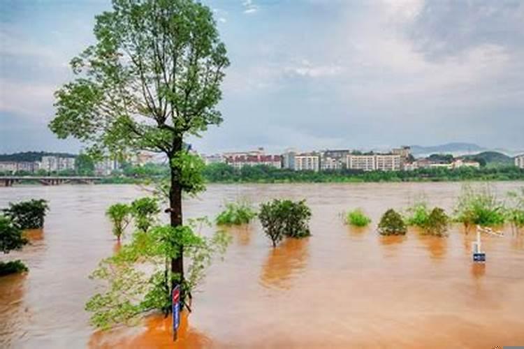 梦见大水来了有什么预兆嘛？梦见洪水来了是什么征兆