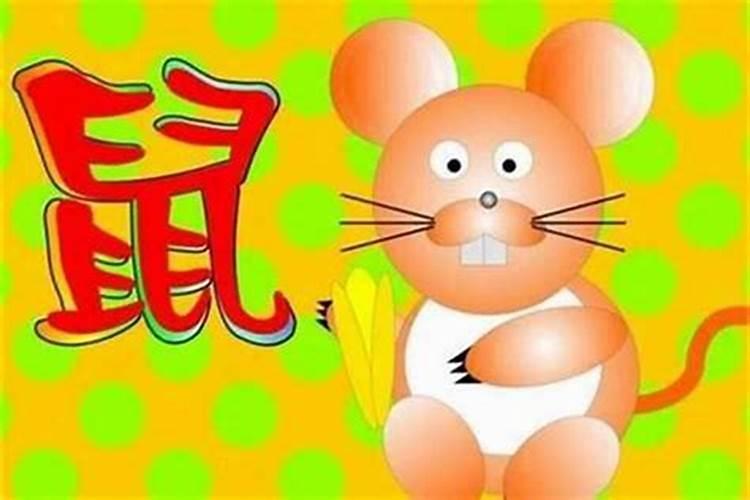 属鼠的人住哪层楼好？鼠住几楼是最旺的属相