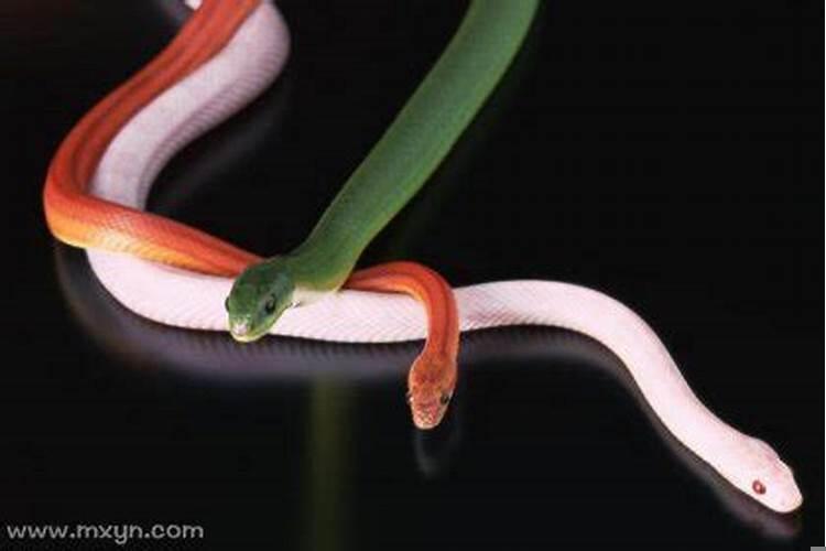 梦到家里着火又被自己扑灭是什么意思?梦见失火又被扑灭是什么预兆呢