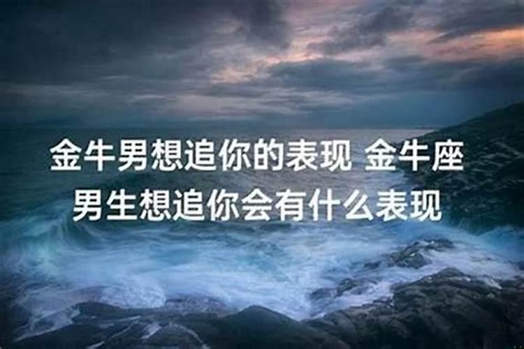 金牛男怎么看待女生倒追？要不要主动找金牛男聊天