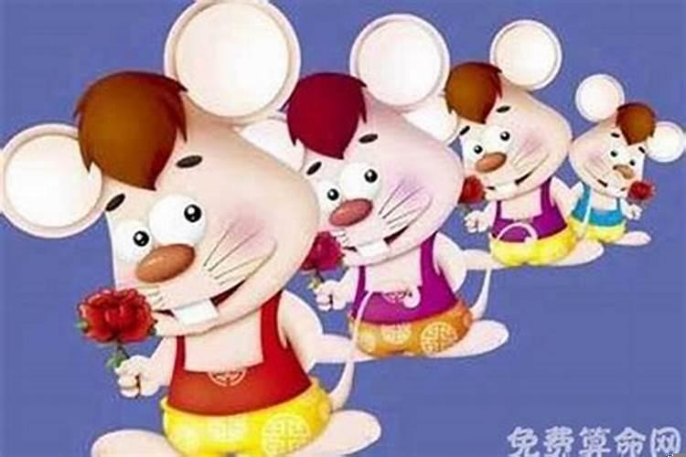 属鼠女人有什么性格特点呢？属鼠的女人的性格特点