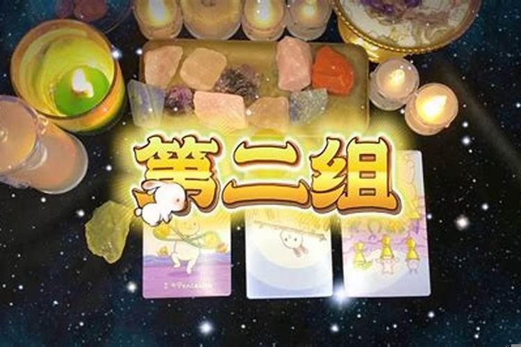 梦到什么有财运？梦见蛇是什么预兆!