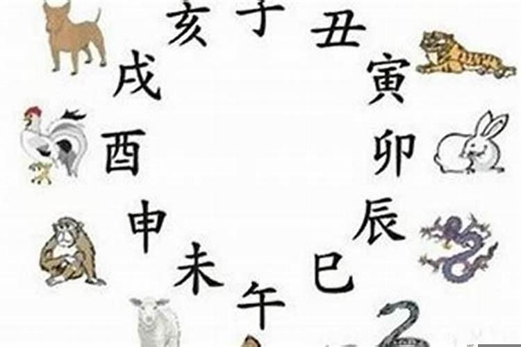十二生肖最不适合的职业，属虎羊年运气