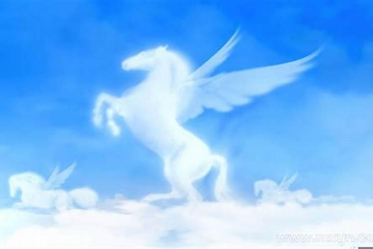 做梦梦到会飞的马，梦到马飞上天