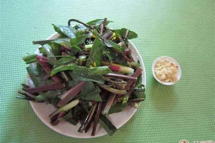 梦见吃果子是什么征兆？梦见吃菜苔是什么意思