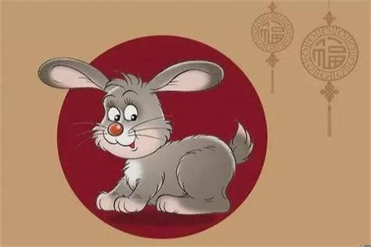 属兔人几点出生的最好命？属兔的人几点出生好