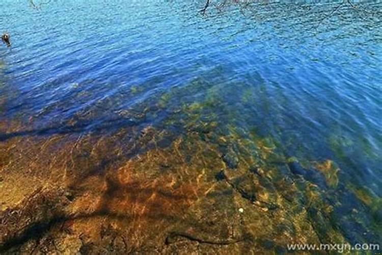 梦见水要涨潮 梦见海水潮涨潮落