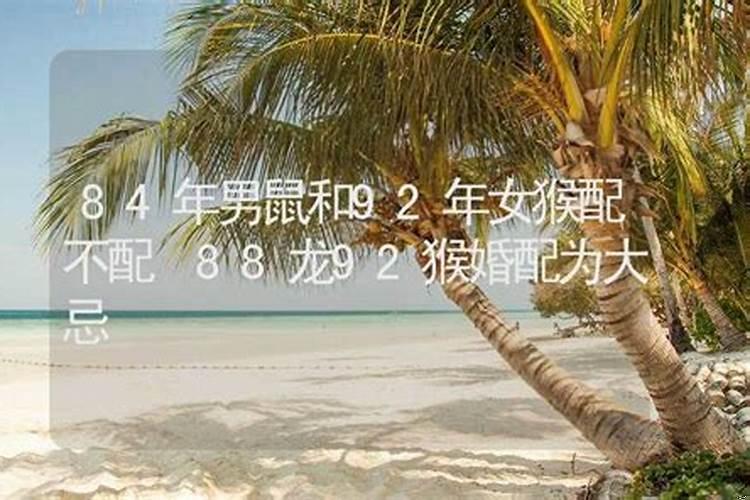 92年女猴配84年男鼠