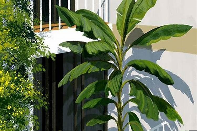 十二星座谁外冷内热