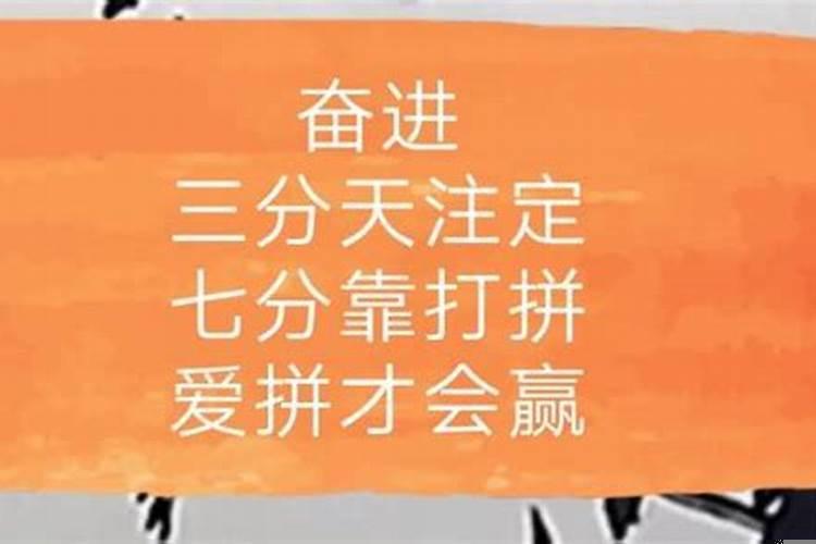 三分注定七分命运