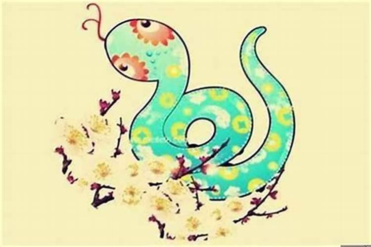 属蛇和属蛇的相配吗