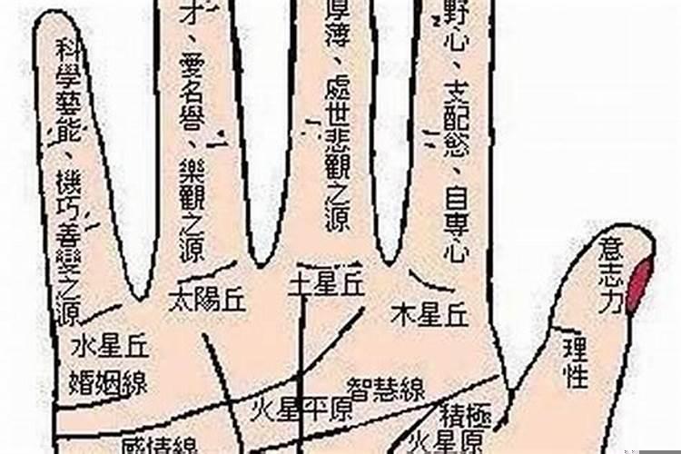 看手相有没有横财