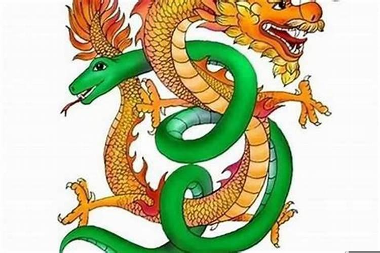 属蛇和属蛇的相配吗