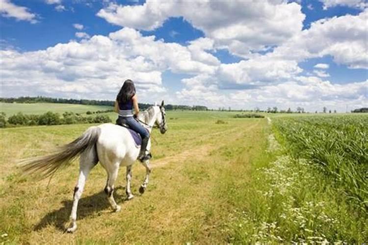 梦见自己骑着马飞奔(梦见骑着马儿跑是什么意思)