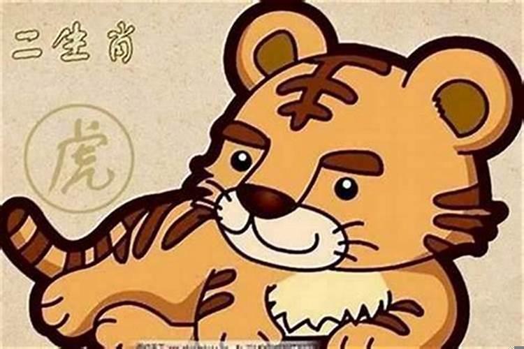属虎忌什么属相最好