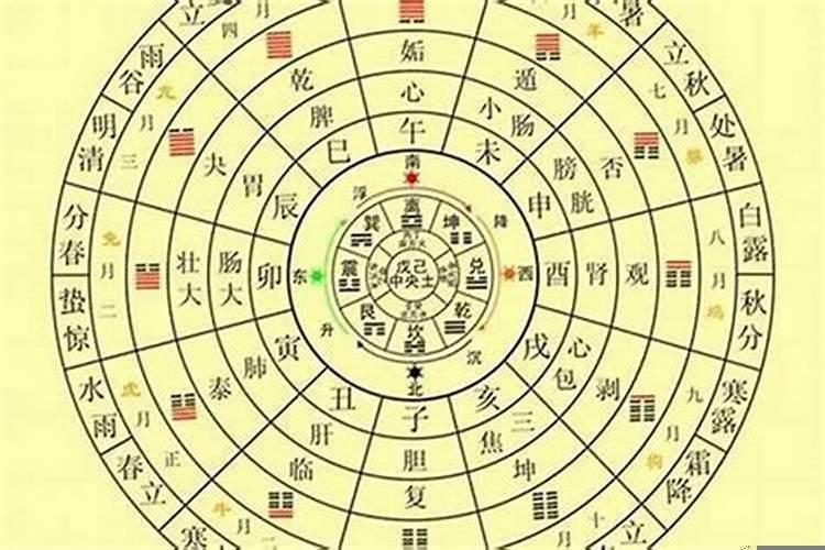 属蛇大林木命五行缺什么
