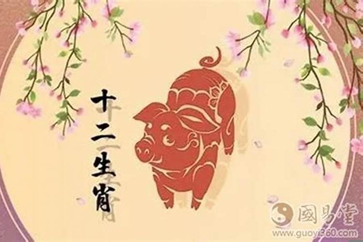 猪年属猪人的运势如何