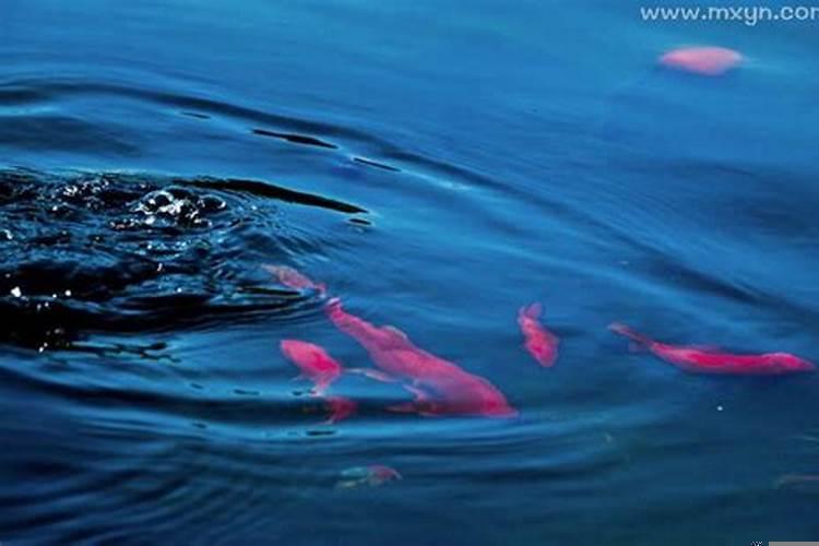 女人梦见鱼和水是什么意思?孕妇梦见大水是胎梦