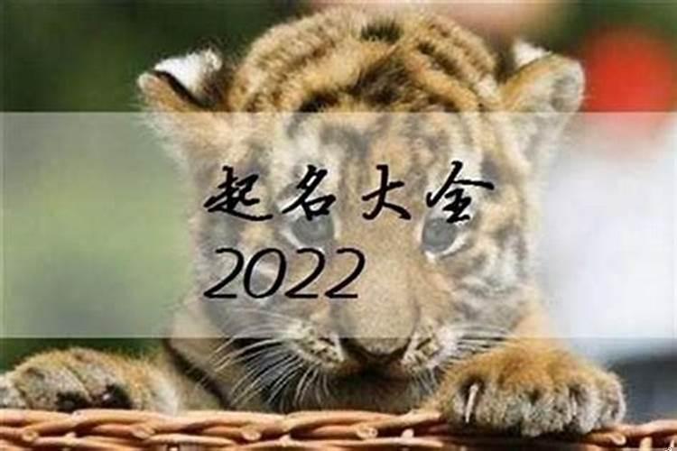 属虎的宝宝取什么名字好听