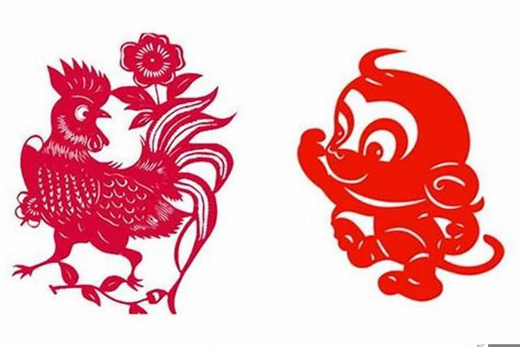 93年属鸡男和属猴女婚配吗