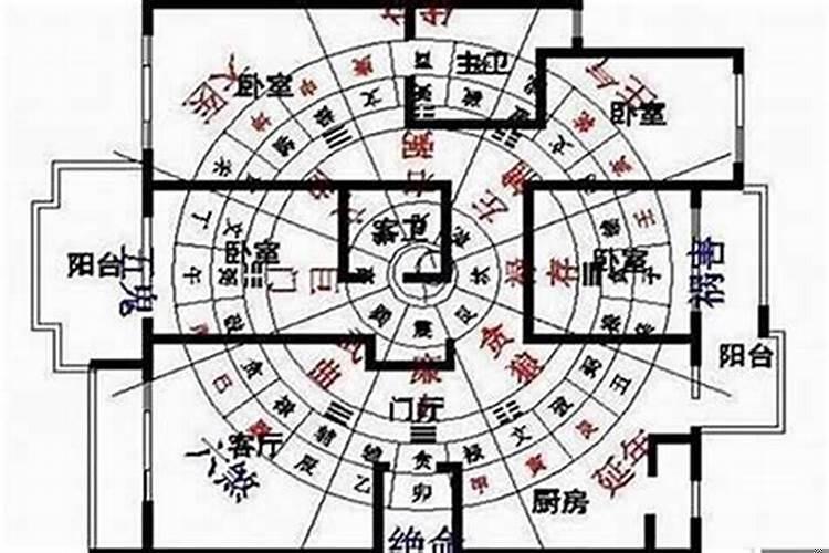 风水什么样的房子旺财